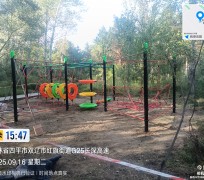 雙遼市一馬樹森林公園項目