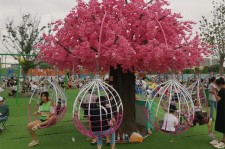 網(wǎng)紅許愿樹(shù)